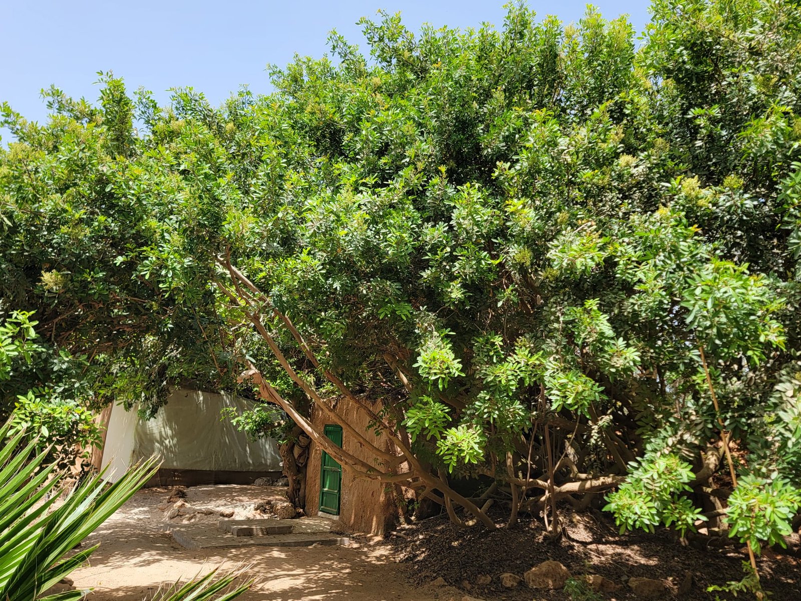 Desert wellness retreat Ecoturismo Sahara Wüsten-Wellness-Retreat