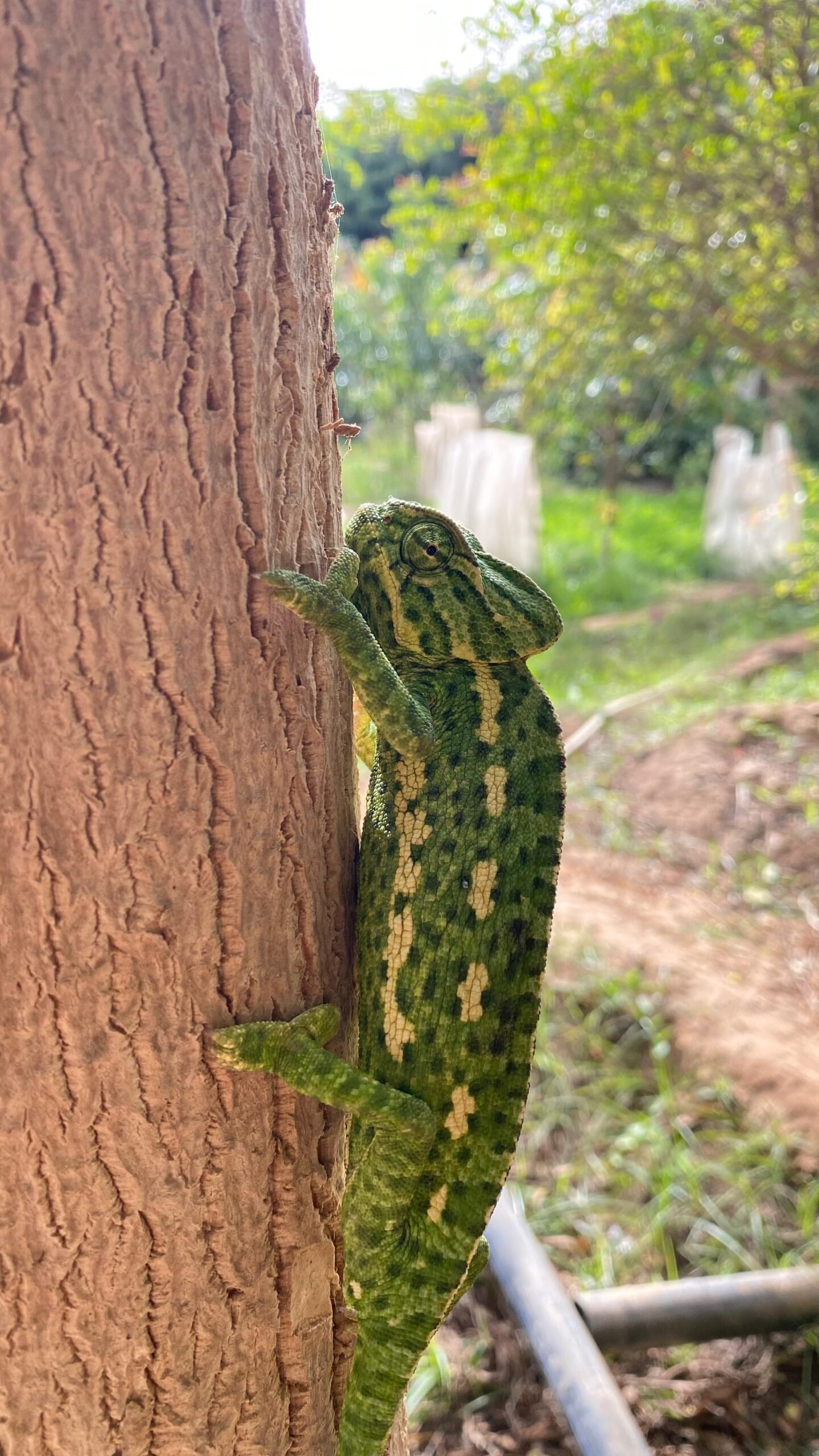 Desert wellness retreat Wüsten-Wellness-Retreat