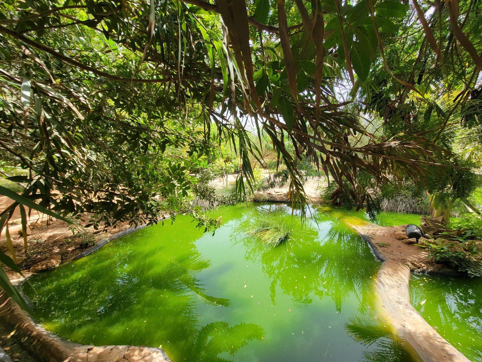 Desert wellness retreat
