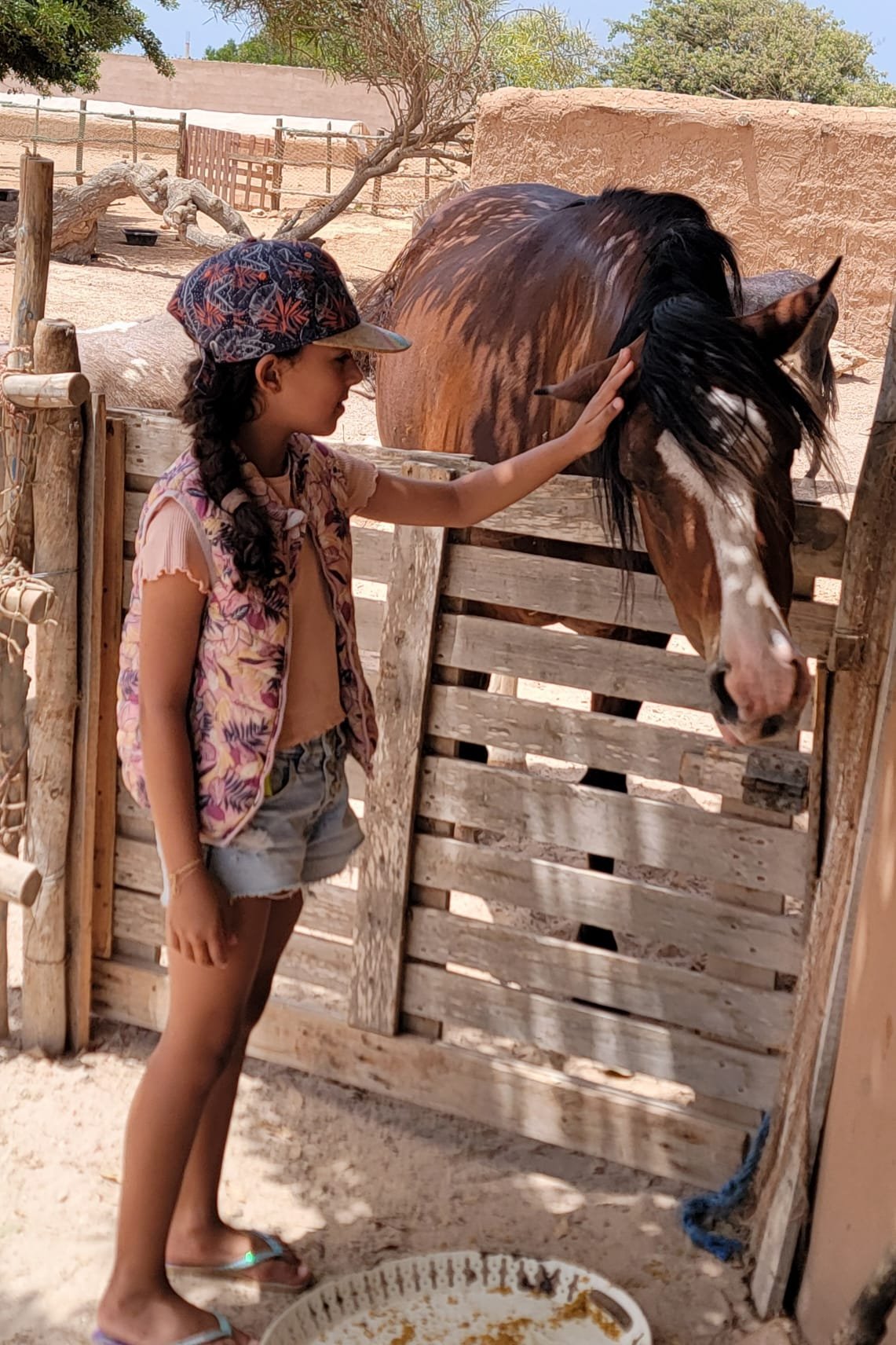 Desert wellness retreat