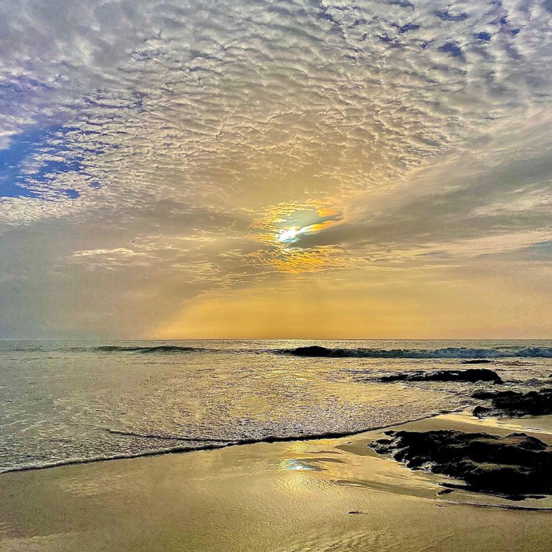 Desert wellness retreat Retiro bienestar desierto