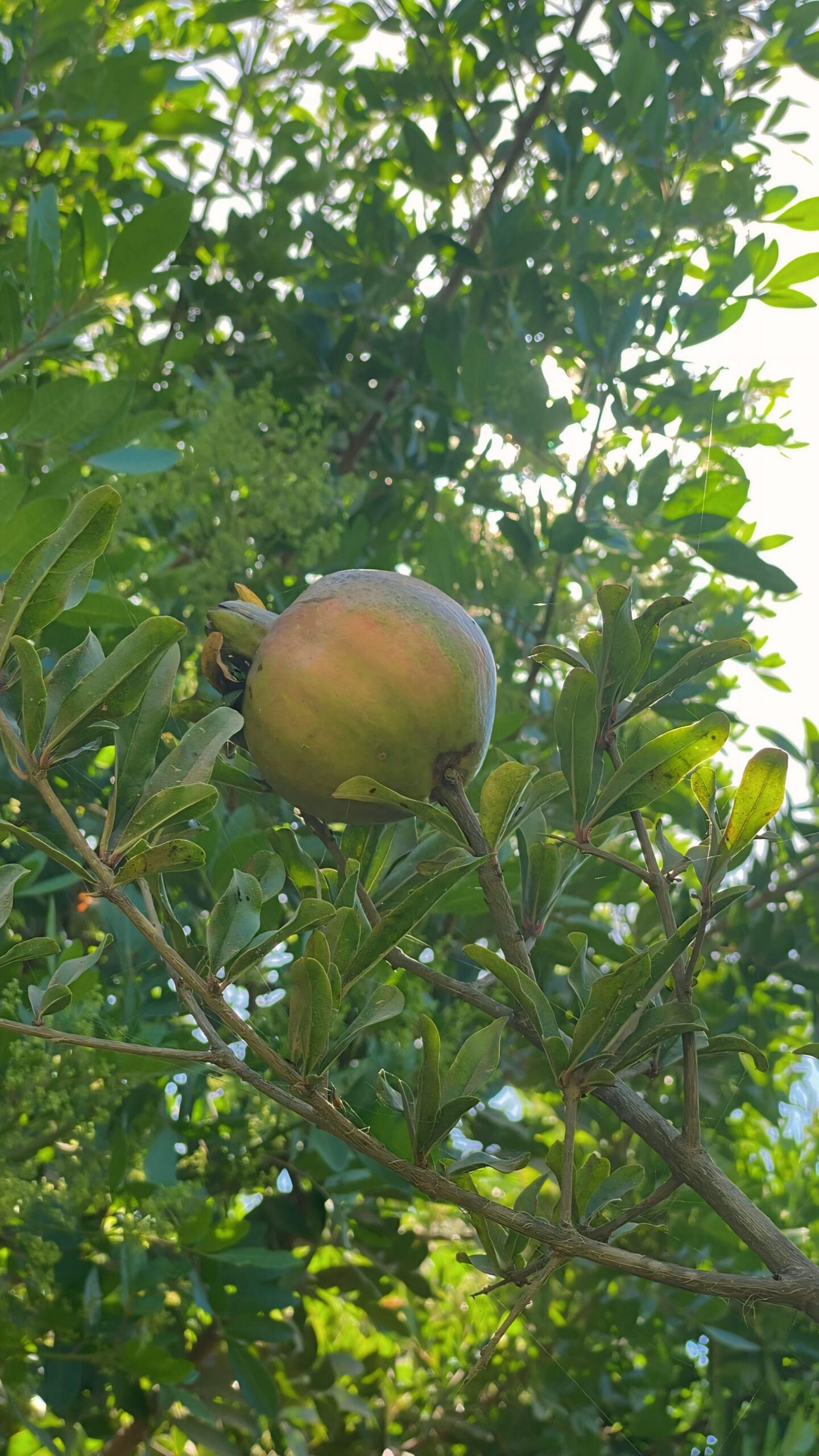 bc64fc5c-aa23-4e86-bb7e-ec3db94d3ebd