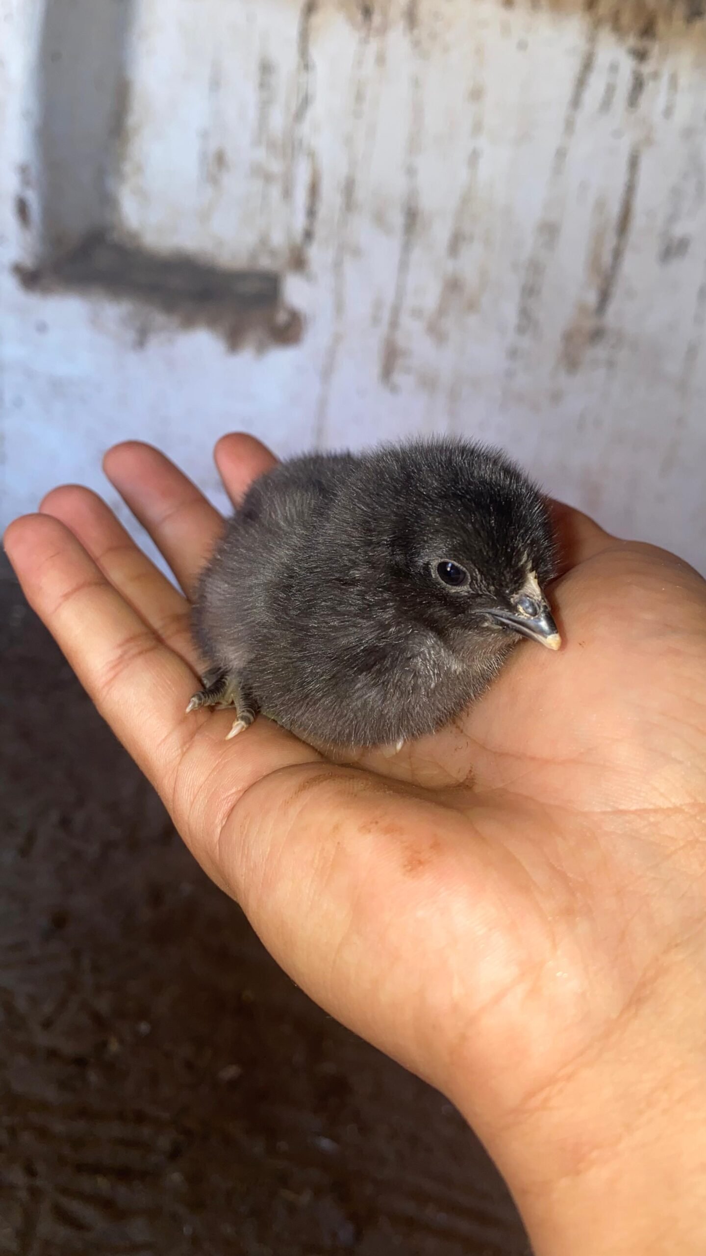 da46bcec-c78e-4019-b3bc-840612b05df2