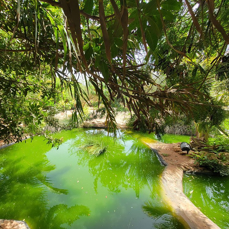 Bohemian chic hotel Hotel bohemio chic Bohème-Chic-Hotel