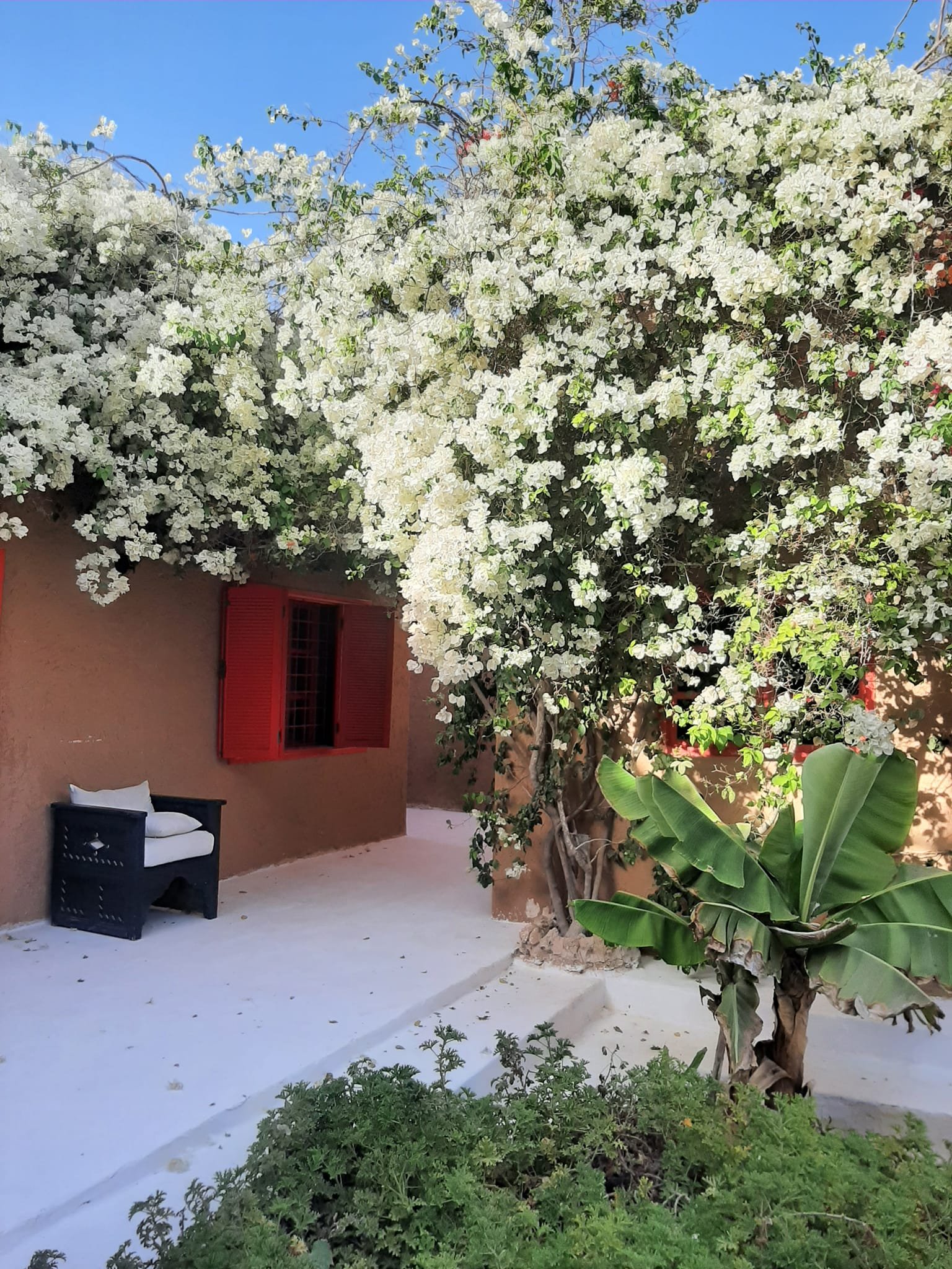 Desert wellness retreat Ecoturismo Sahara Wüsten-Wellness-Retreat