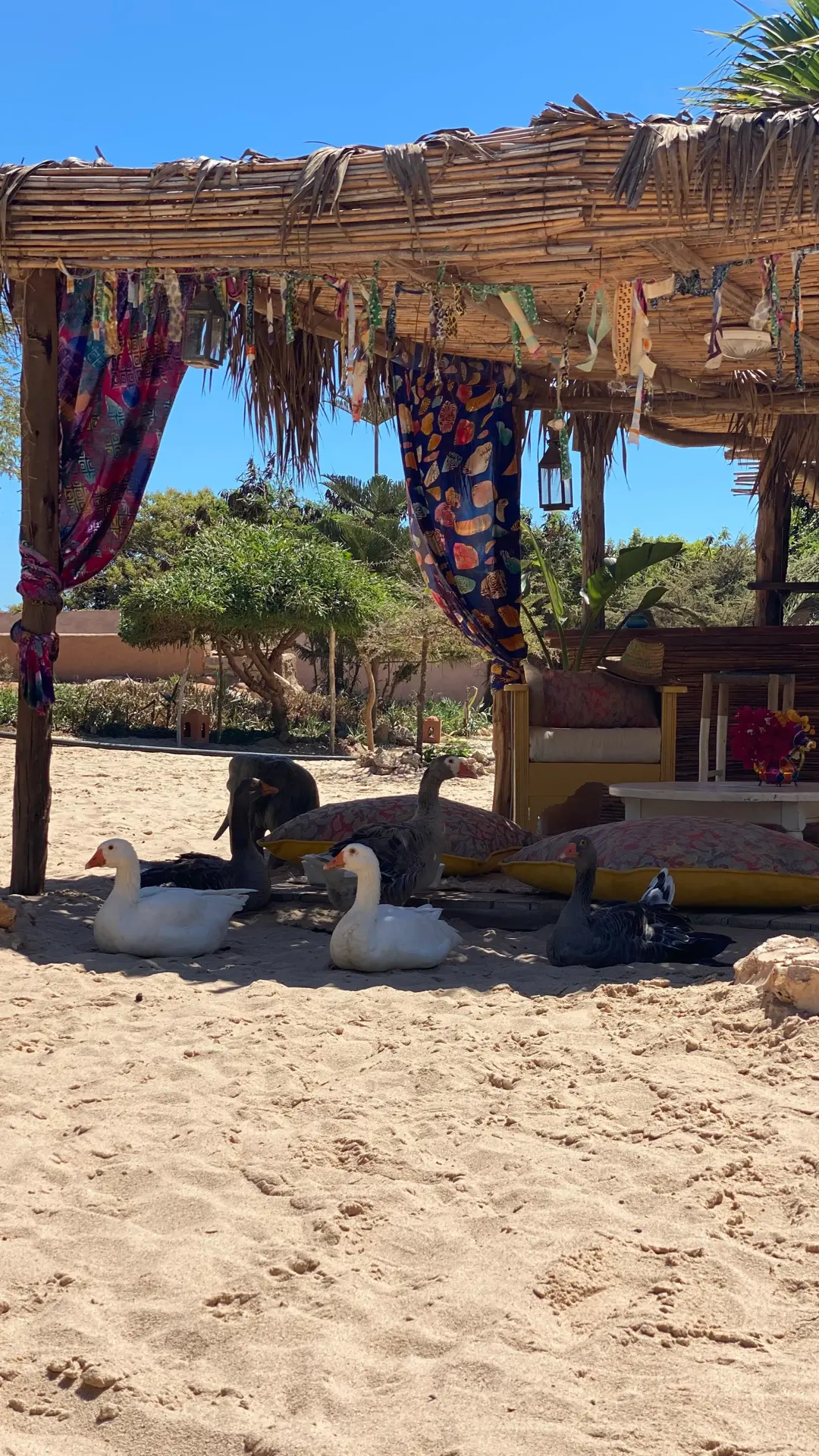 Ecoturismo Sahara Wüsten-Wellness-Retreat